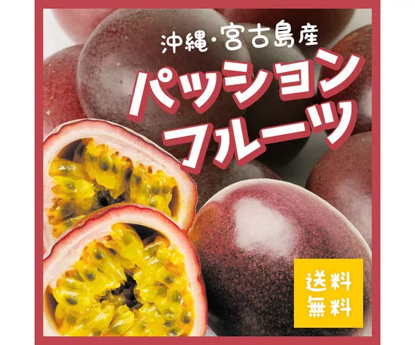 静岡県産パッションフルーツ　グリーンイエロー　2キロ