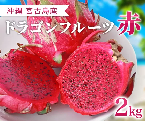 沖縄産☆ドラゴンフルーツ赤6玉(2kg)